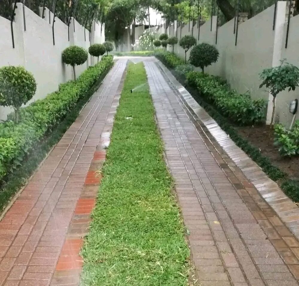 Paving & Driveways Johannesburg — 247 Renovations